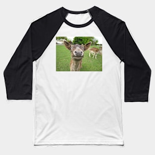 Deer Hypnosis Baseball T-Shirt